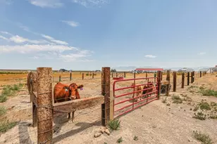 1318 Old Lincoln Hwy, Grantsville, UT 84029 - Photo 49
