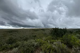 10780 Ford Ridge Rd, Helper, UT 84526 - Photo 1