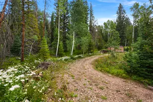 13747 E Weber Canyon Rd, Oakley, UT 84055 - Photo 37