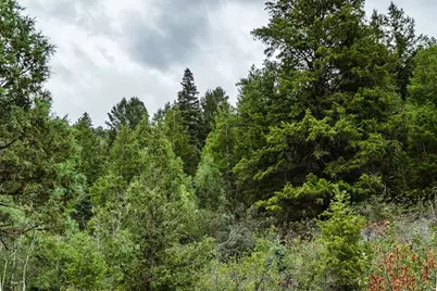 3716 Chokecherry Ln S, Kamas, UT 84036 - Photo 21