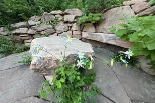 2137 N Pinecrest Canyon Rd #35 Rd E, Emigration Canyon, UT 84108 - Photo 83