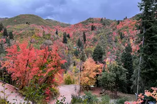 2137 N Pinecrest Canyon Rd #35 Rd E, Emigration Canyon, UT 84108 - Photo 75