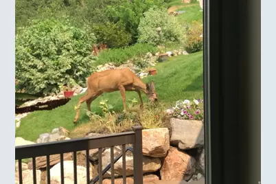 2527 E Bonneville Terrace Dr, Ogden, UT 84403 - Photo 85