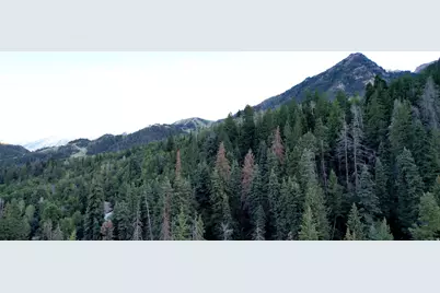 3 Sundance Rec Resort #3, Sundance, UT 84604 - Photo 11