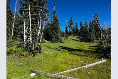 1075 S Bristlecone Ln, Brian Head, UT 84719 - Photo 7
