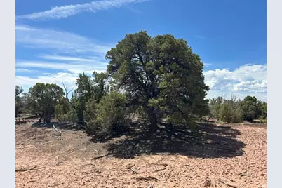 0, Talmage, UT 84073 - Photo 25