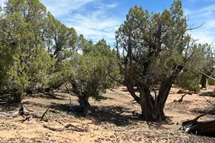 0, Talmage, UT 84073 - Photo 23