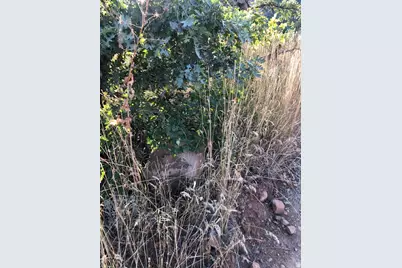 [Address not provided], Springville, UT 84663 - Photo 35