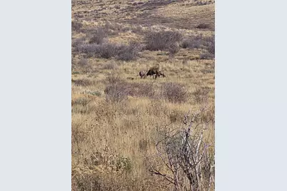 [Address not provided], Fruitland, UT 84027 - Photo 9