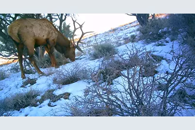 [Address not provided], Fruitland, UT 84027 - Photo 1
