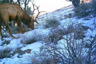 [Address not provided], Fruitland, UT 84027 - Photo 1