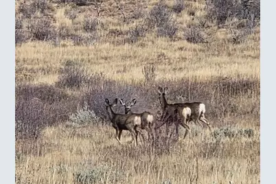 [Address not provided], Fruitland, UT 84027 - Photo 3