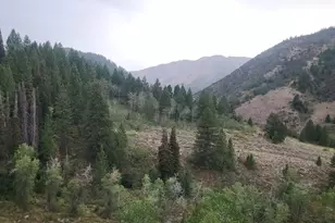 6330 Middle Fork Dr Dr, Huntsville, UT 84317 - Photo 3