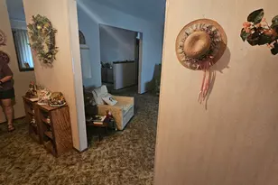 8671 S Tracy Dr, Sandy, UT 84093 - Photo 3