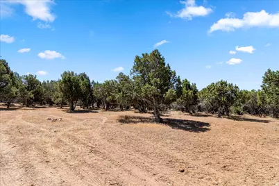 [Address not provided], Spring City, UT 84662 - Photo 27