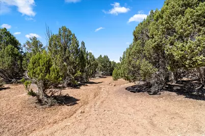 [Address not provided], Spring City, UT 84662 - Photo 23