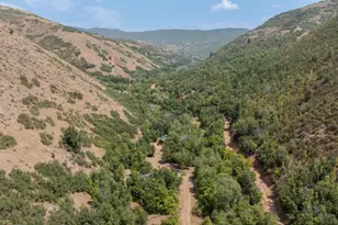 887 S Hobble Creek Rd, Springville, UT 84663 - Photo 93