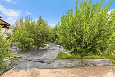 1879 E Tickville Cir, Eagle Mountain, UT 84005 - Photo 55
