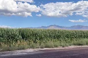 150 S 3900 W, Flowell, UT 84631 - Photo 57