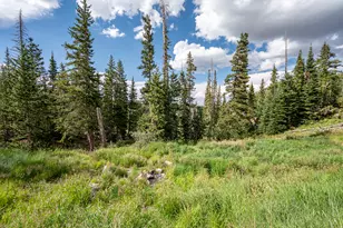 1074 S Bristlecone Ln, Brian Head, UT 84719 - Photo 85
