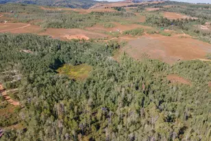11206 E Partridge Point Dr, Huntsville, UT 84317 - Photo 23