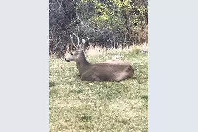 541 S Left Fork Hobb Rd E #8, Springville, UT 84663 - Photo 9