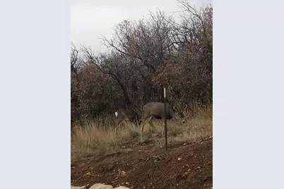 541 S Left Fork Hobb Rd E #8, Springville, UT 84663 - Photo 17