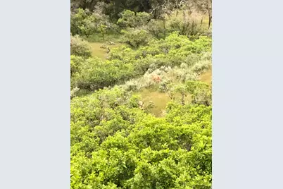 541 S Left Fork Hobb Rd E #8, Springville, UT 84663 - Photo 3