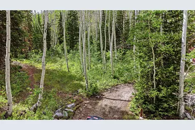 12290 E Camp Tuttle Rd, Brighton, UT 84121 - Photo 27