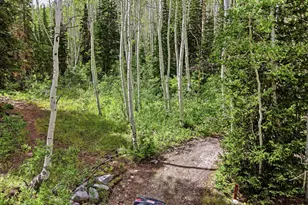 12290 E Camp Tuttle Rd, Brighton, UT 84121 - Photo 27