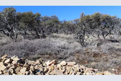 997 W Cisco Run N, Garden City, UT 84028 - Photo 5