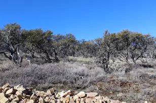 997 W Cisco Run N, Garden City, UT 84028 - Photo 5