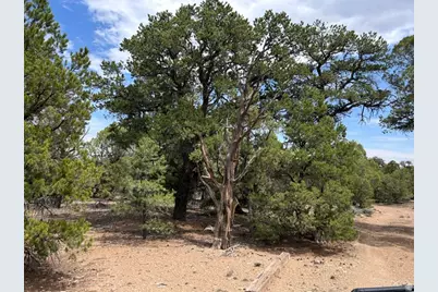 0, Fruitland, UT 84027 - Photo 1