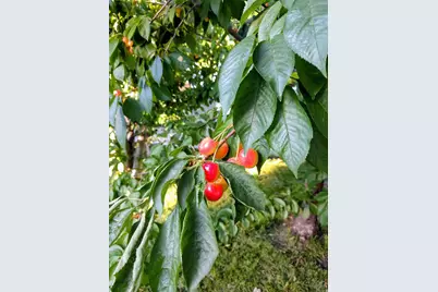463 E Kensington Ave S, Salt Lake City, UT 84106 - Photo 7