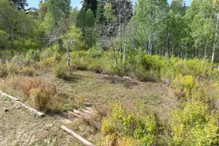 98 Mountain Spring Dr, Fairview, UT 84629 - Photo 31