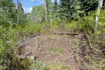 98 Mountain Spring Dr, Fairview, UT 84629 - Photo 29