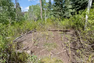 98 Mountain Spring Dr, Fairview, UT 84629 - Photo 29