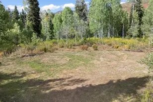 98 Mountain Spring Dr, Fairview, UT 84629 - Photo 33