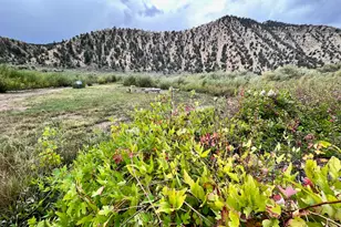 8600 S 42000 W, Fruitland, UT 84027 - Photo 29