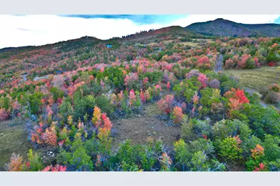 [Address not provided], Fairview, UT 84629 - Photo 5