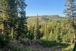 1663 Lancer Ln, Kamas, UT 84036 - Photo 97