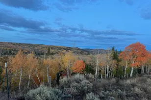1663 Lancer Ln, Kamas, UT 84036 - Photo 49
