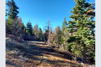 [Address not provided], Mount Pleasant, UT 84647 - Photo 19
