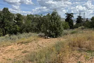0, Fountain Green, UT 84632 - Photo 17