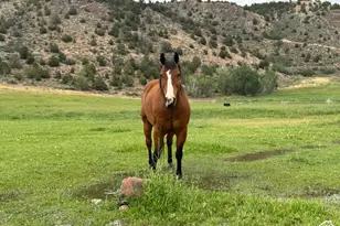 42749 W 9750 N, Hanna, UT 84031 - Photo 35