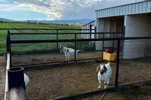 180 S 2500 W, Maeser, UT 84078 - Photo 53