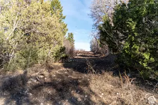 40095 W Tabby Heights, Tabiona, UT 84072 - Photo 53