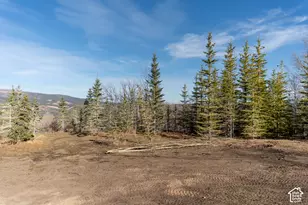 40095 W Tabby Heights, Tabiona, UT 84072 - Photo 13