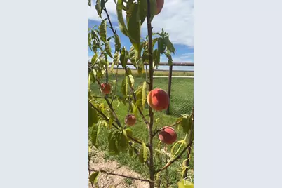 2157 N 22000 W, Talmage, UT 84073 - Photo 19