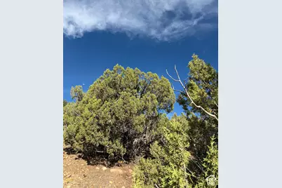 [Address not provided], Duchesne, UT 84021 - Photo 17